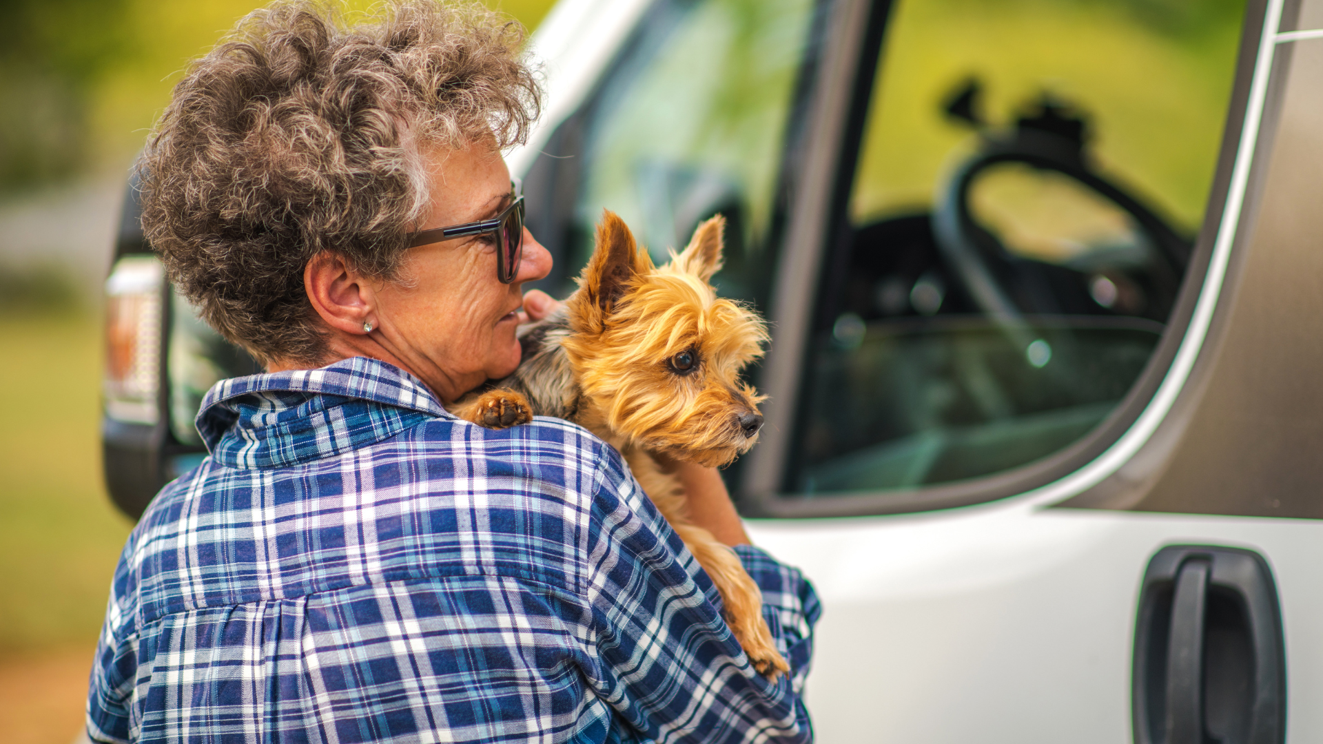 Preparing for a Road Trip with Your Four-Legged Companion: A Guide